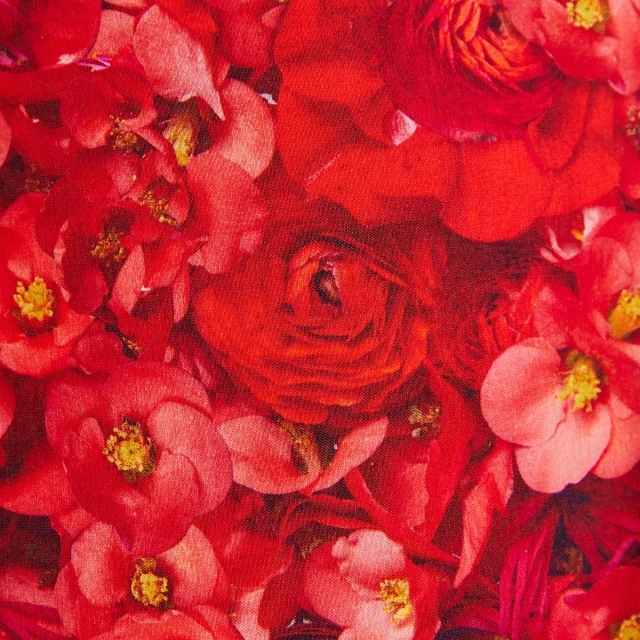 Rochie Desigual Amapola :: XS